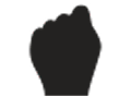 hand fist icon